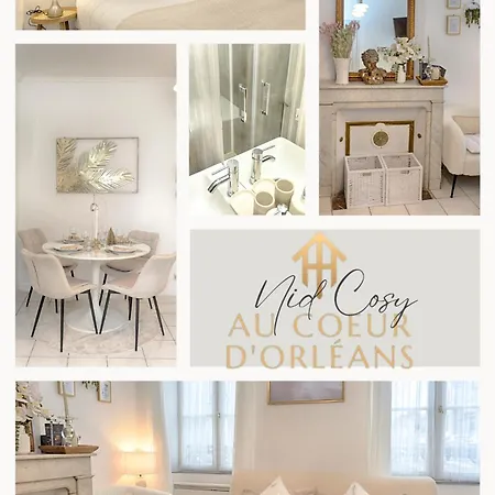 Ferienwohnung Le Nid Cosy -Au Coeur D'Orléans Exterior foto